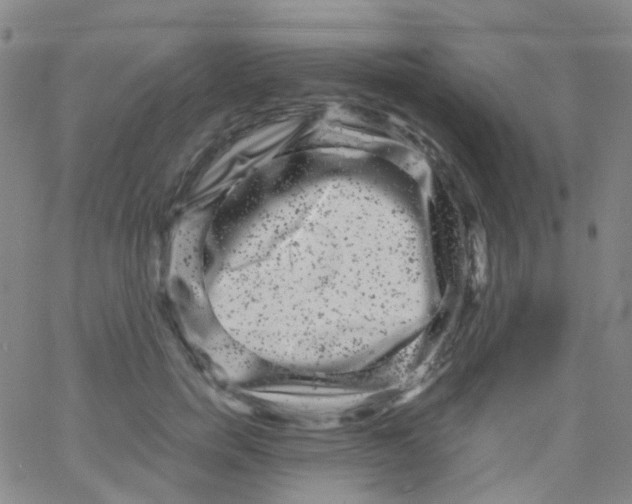 X0000061760750200512231550