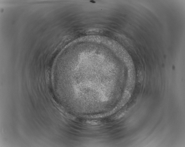 X0000061760753200512231550