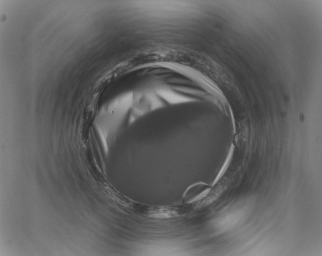 X0000061760754200512231550