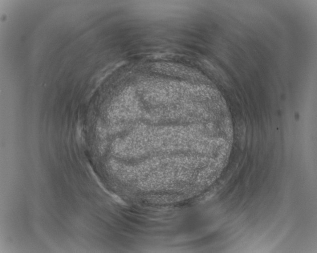 X0000061760757200512231551