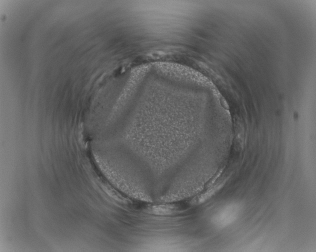 X0000061760758200512231551