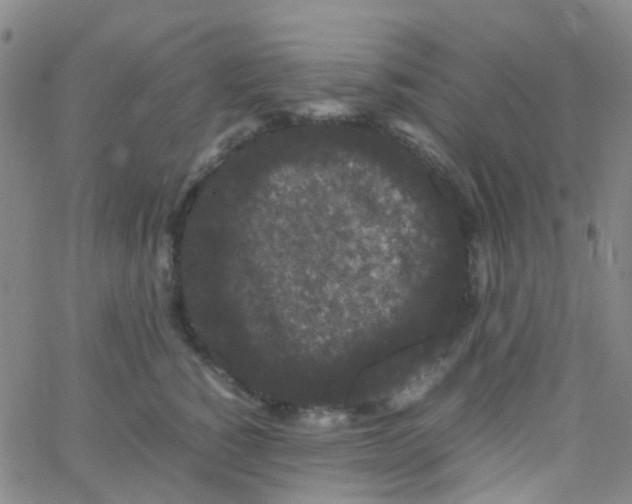 X0000061760760200512231551