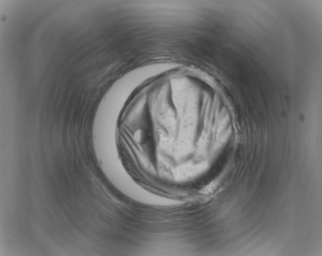 X0000061760764200512231551