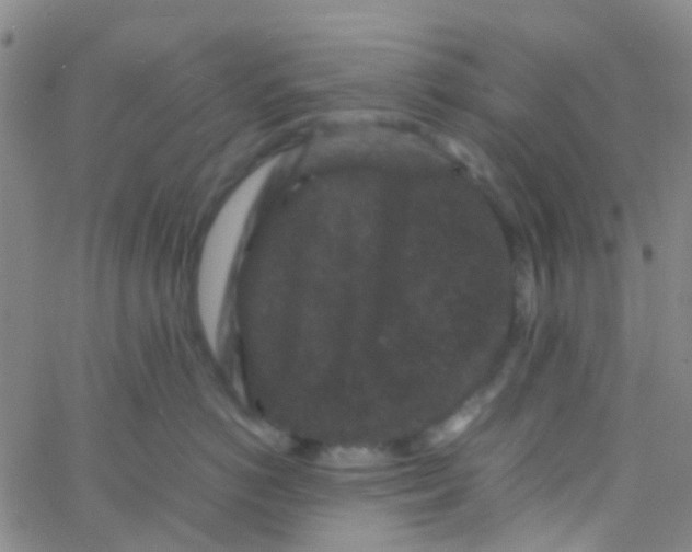 X0000061760766200512231551