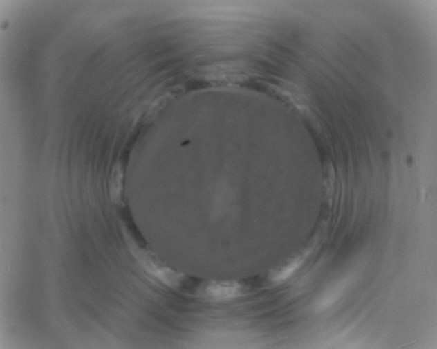 X0000061760767200512231551