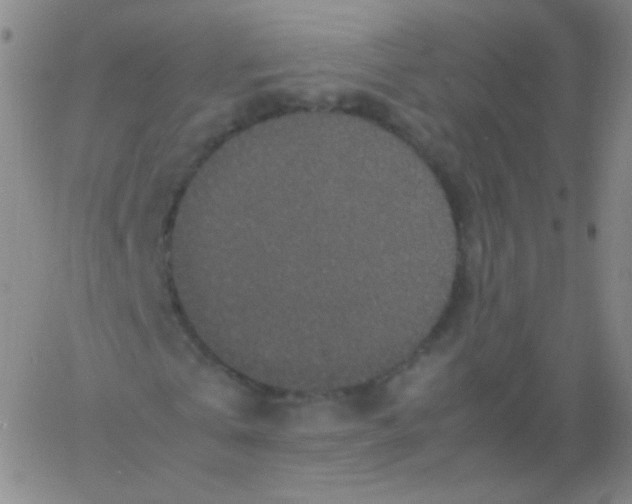 X0000061760769200512231550