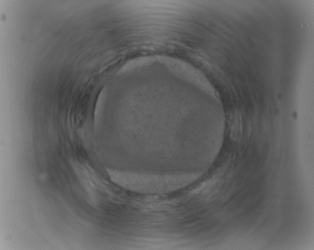 X0000061760770200512231550