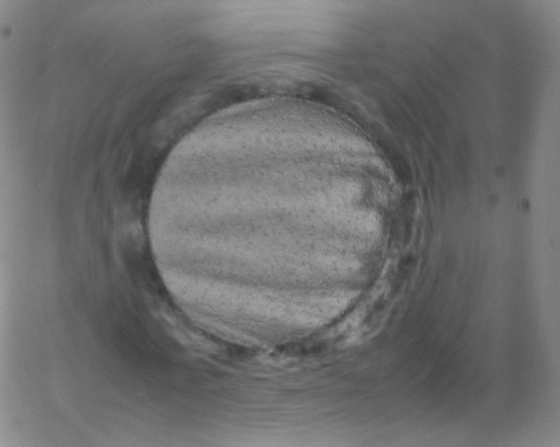 X0000061760771200512231550