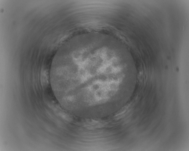 X0000061760772200512231550