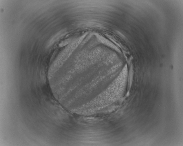 X0000061760774200512231550