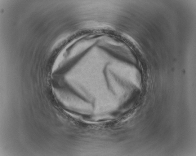 X0000061760775200512231550