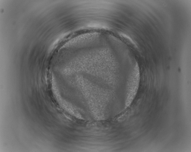 X0000061760776200512231550