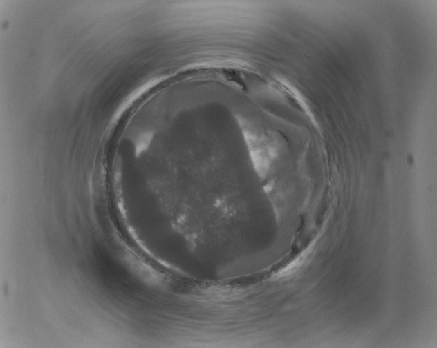 X0000061760779200512231550