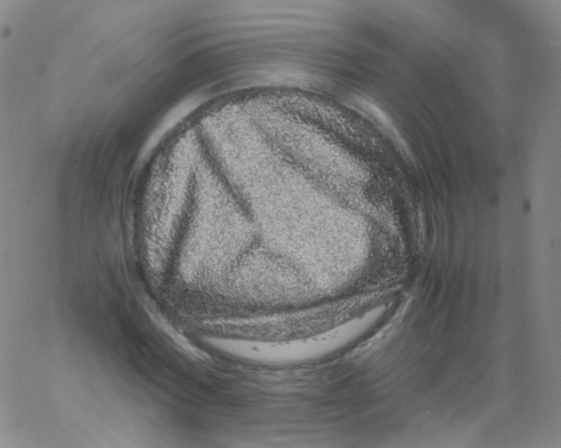 X0000061760780200512231550