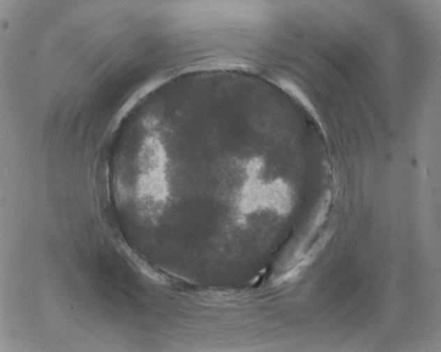 X0000061760781200512231550