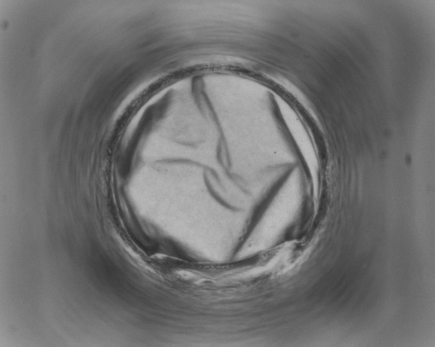 X0000061760783200512231550