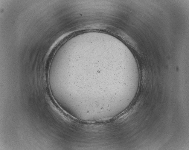 X0000061760784200512231550