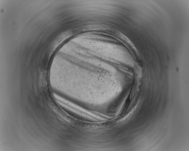 X0000061760786200512231550