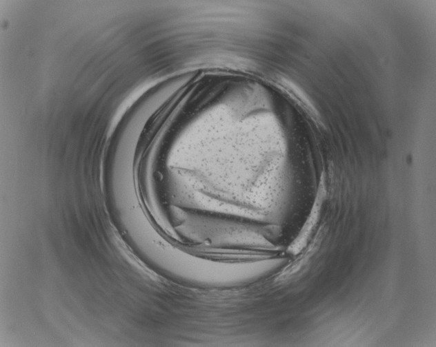 X0000061760788200512231550