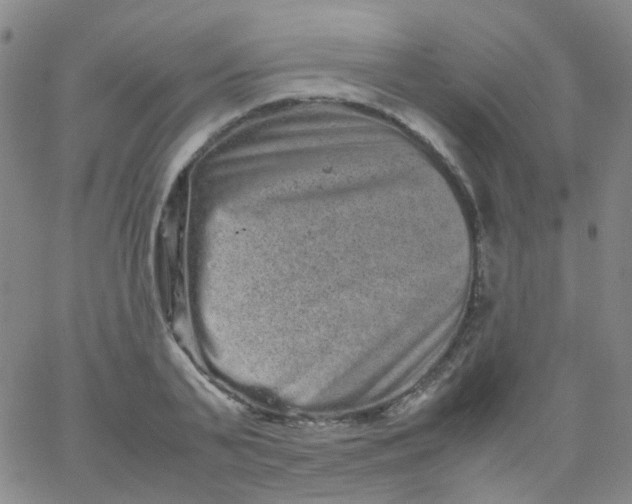 X0000061760791200512231550