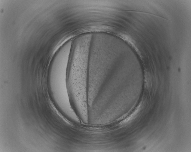 X0000061760794200512231549