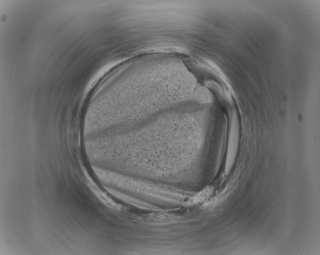 X0000061760795200512231549