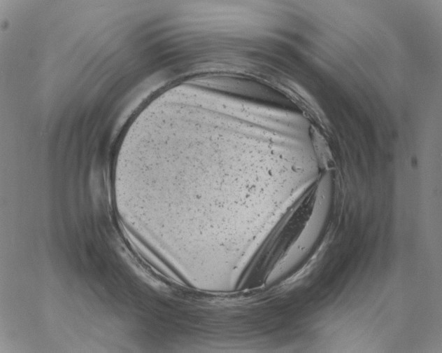 X0000061760796200512231549