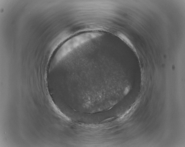 X0000061760797200512231549