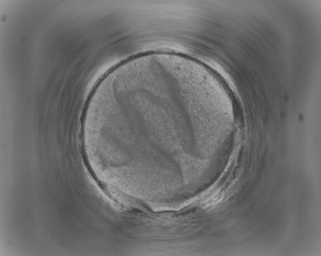 X0000061760799200512231549