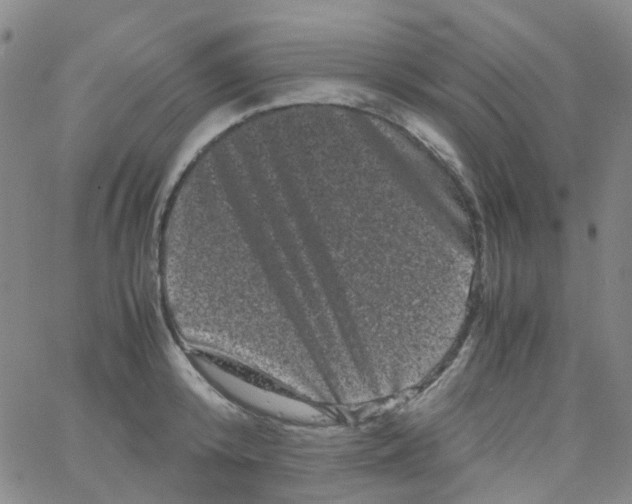 X0000061760800200512231549