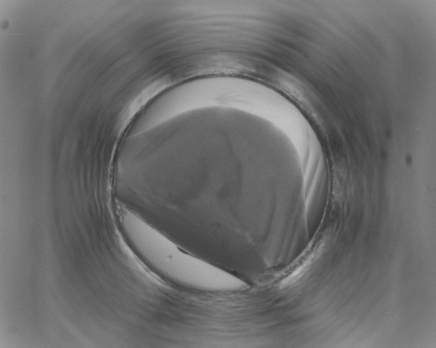 X0000061760802200512231549