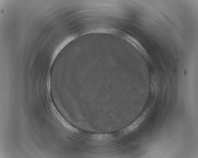 X0000061760804200512231549