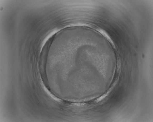 X0000061760805200512231549