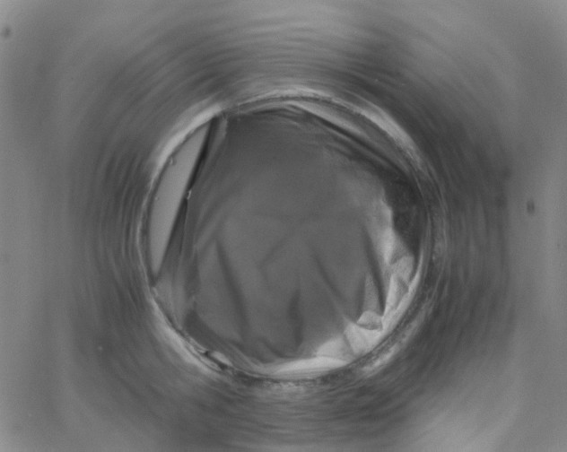 X0000061760806200512231549