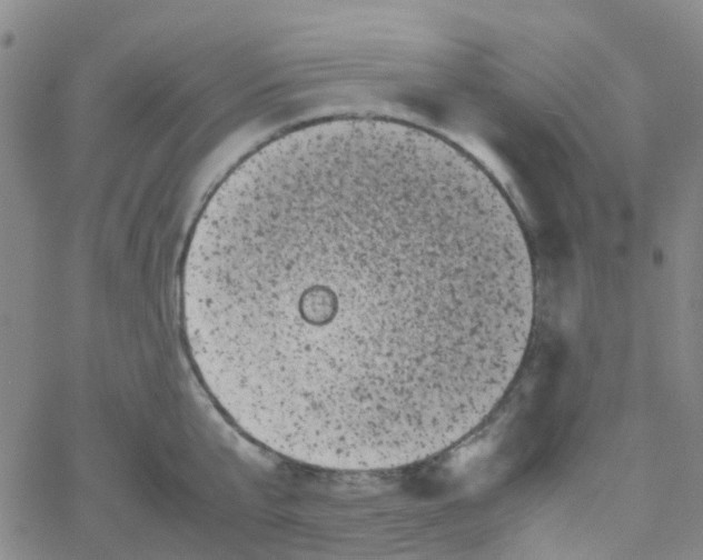 X0000061760807200512231549