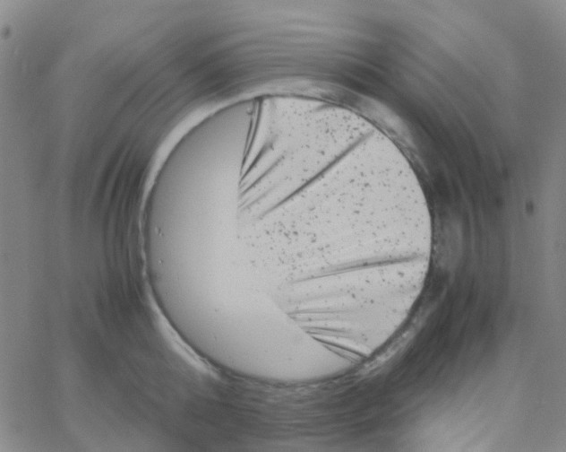 X0000061760808200512231549