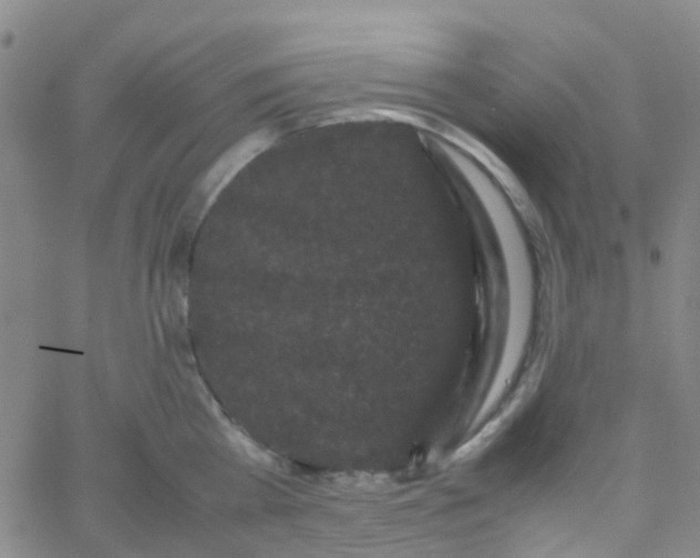 X0000061760809200512231549