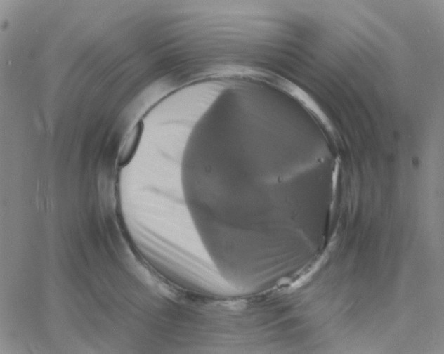 X0000061760810200512231549