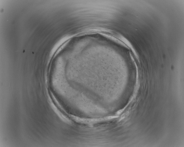 X0000061760811200512231549