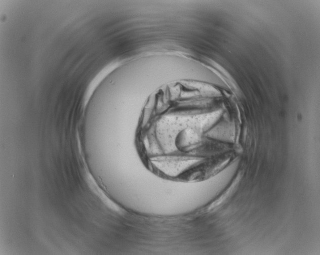 X0000061760812200512231549