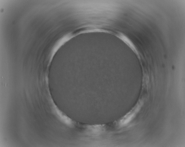 X0000061760813200512231549