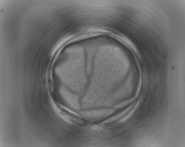 X0000061760814200512231549