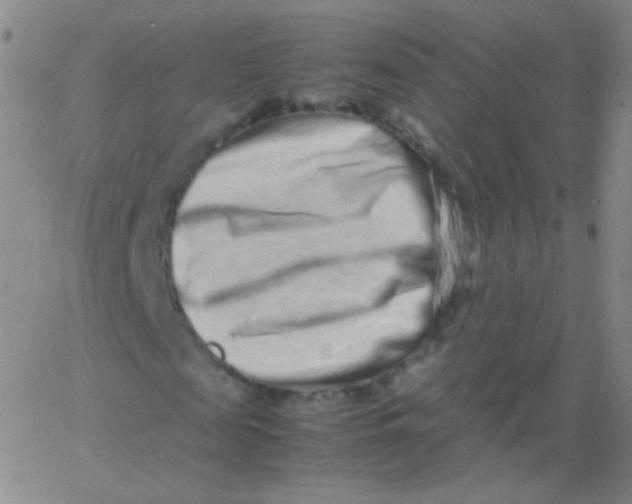 X0000061760817200512231548