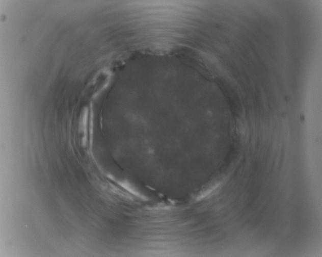 X0000061760818200512231548