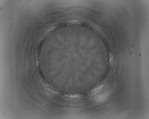 X0000061760819200512231548