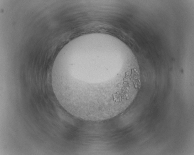 X0000061760820200512231548