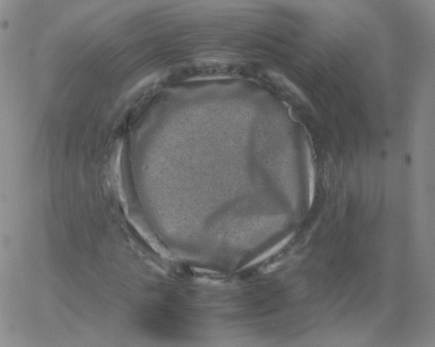 X0000061760821200512231548