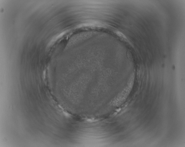 X0000061760822200512231548