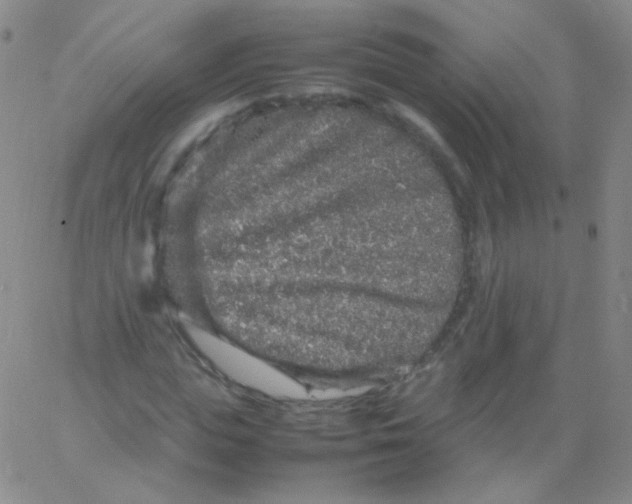 X0000061760823200512231548