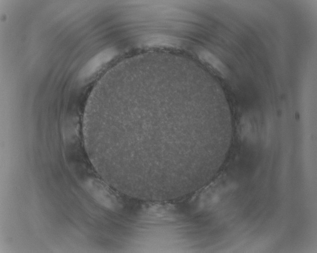 X0000061760824200512231548